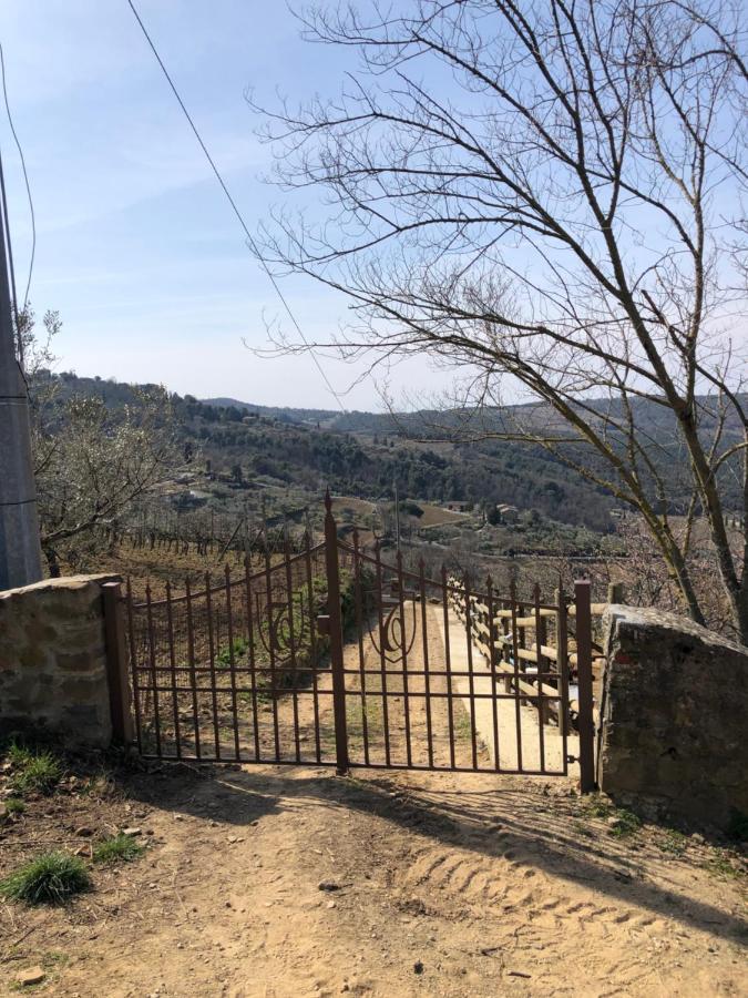 Podere Soccorso Casa Vigneto มอนตาลชิโน ภายนอก รูปภาพ