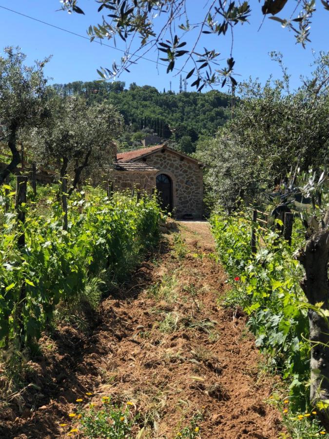 Podere Soccorso Casa Vigneto มอนตาลชิโน ภายนอก รูปภาพ
